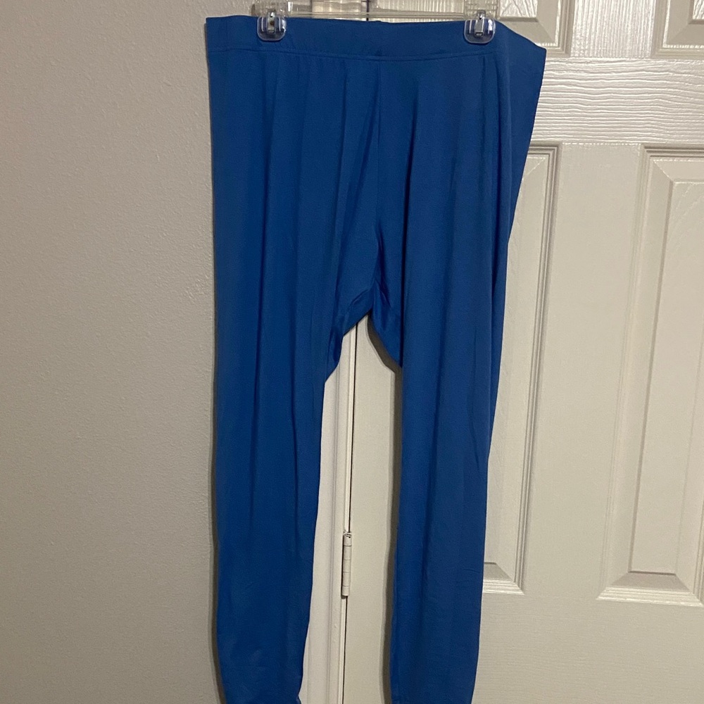 Serra Blue Stretch Leggings